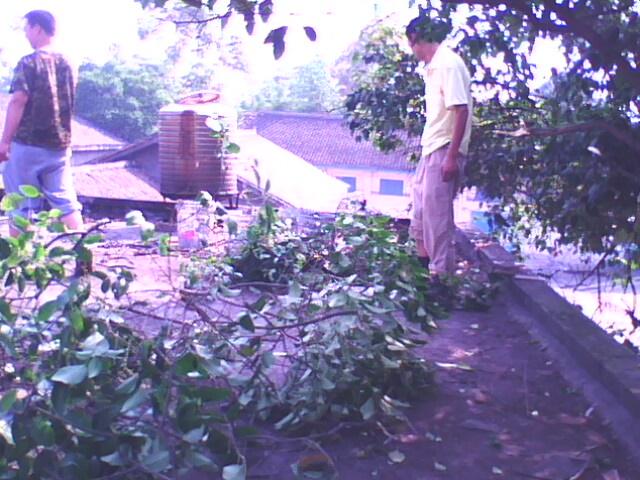 供應(yīng)復(fù)雜的房頂施工