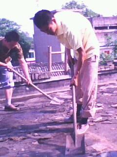 供應(yīng)屋頂?shù)那謇砑胺浪┕?  src=