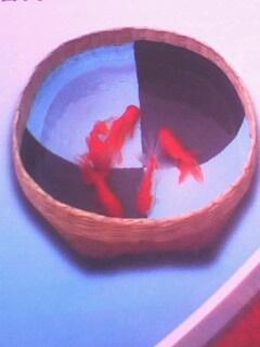 供應(yīng)可以養(yǎng)魚的防水材料