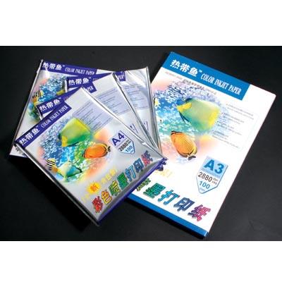 供應(yīng)熱帶魚彩噴和相片