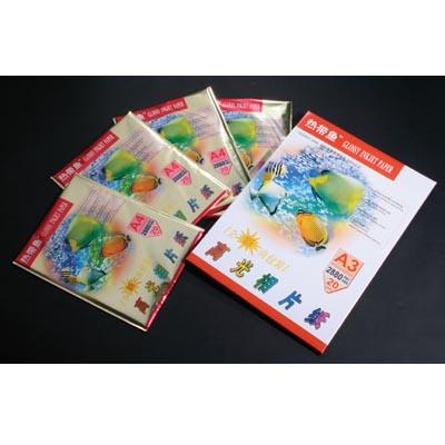 供應(yīng)熱帶魚彩噴和相片