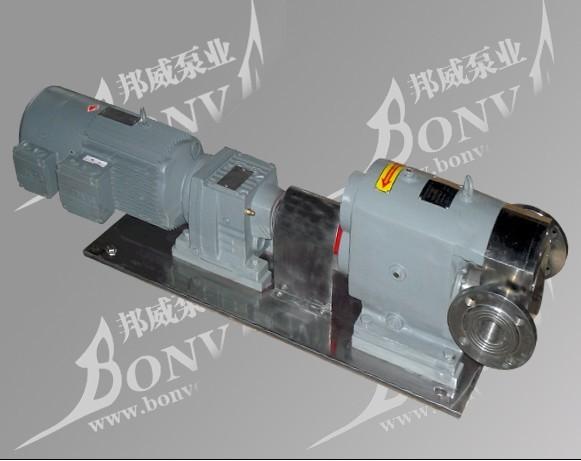 65BV10-20型號轉(zhuǎn)子泵