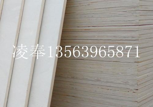 E0膠圖片/E0膠樣板圖 (2)