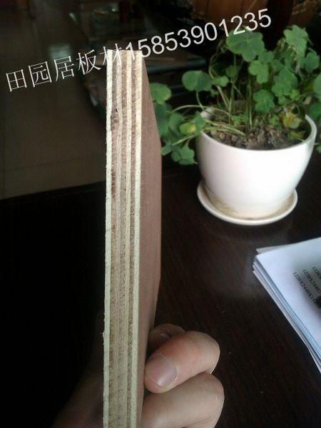 供應9mm單面三聚氰胺板臨沂膠合板廠家