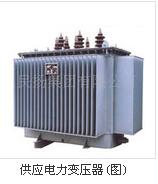 油浸式配電變壓器圖片/油浸式配電變壓器樣板圖 (4)
