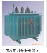 油浸式配電變壓器圖片/油浸式配電變壓器樣板圖 (3)