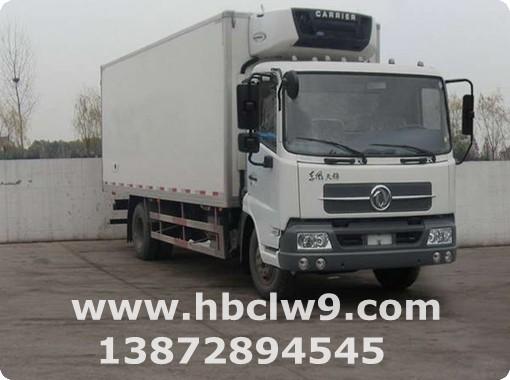 東風(fēng)牌DFL5110XLC冷藏車(chē)銷(xiāo)售