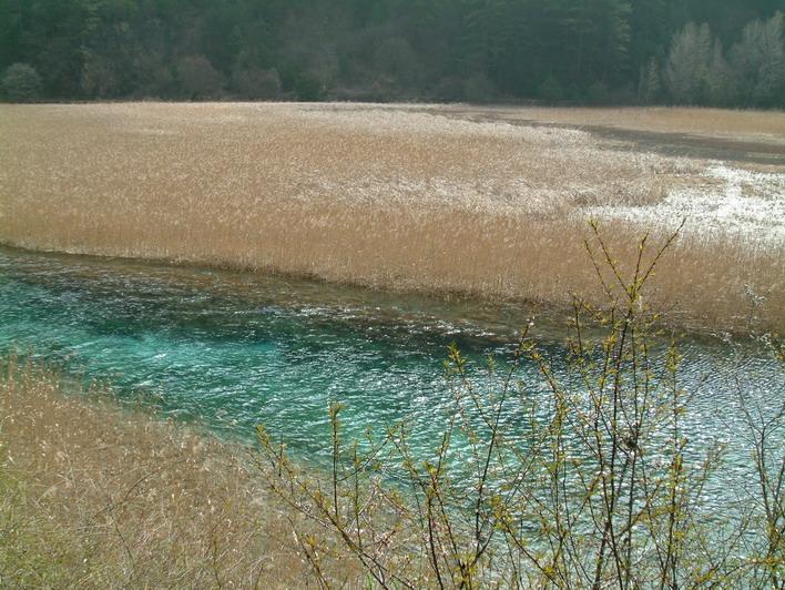 供应长沙到九寨沟旅游包车价钱图片