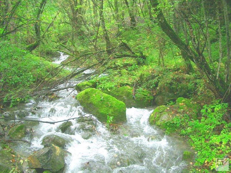 供应九寨沟包车价钱,九寨沟包车电话,九寨沟包车地址图片