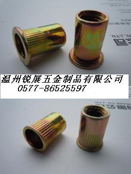 平頭豎紋拉鉚螺母圖片/平頭豎紋拉鉚螺母樣板圖 (3)