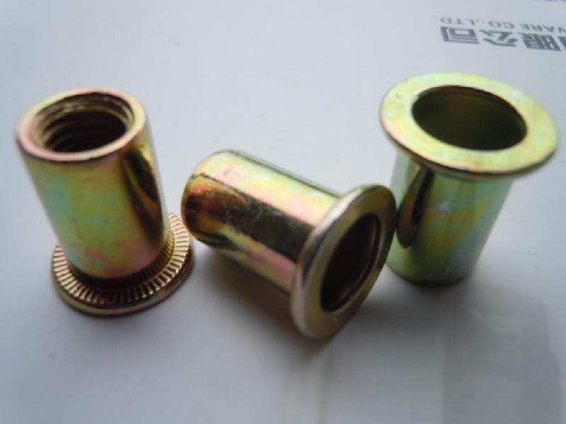 供應(yīng)廠家直銷鉚螺母拉帽拉母