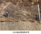 邊坡RX-050被動防護網(wǎng)圖片