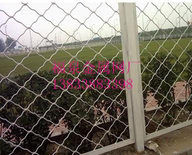 供應(yīng)鍍鋅美格網(wǎng)，可做防盜窗、狗籠子，安全防盜、經(jīng)濟實惠