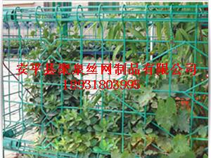 供應(yīng)雙圈護(hù)欄網(wǎng) 雙圈絲護(hù)欄網(wǎng)材質(zhì)處理工藝詳解