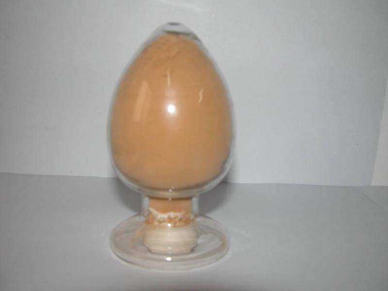 山東靈芝基地靈芝多糖圖片