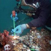 供應寧波水下維修安裝切割