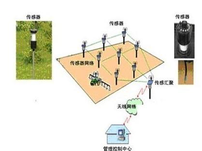 供应BY-WSK物联网智能温室控制系统