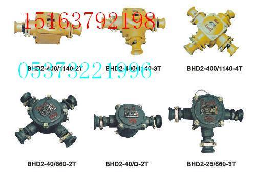 供应BHD2系列矿用隔爆型低压电缆接图片