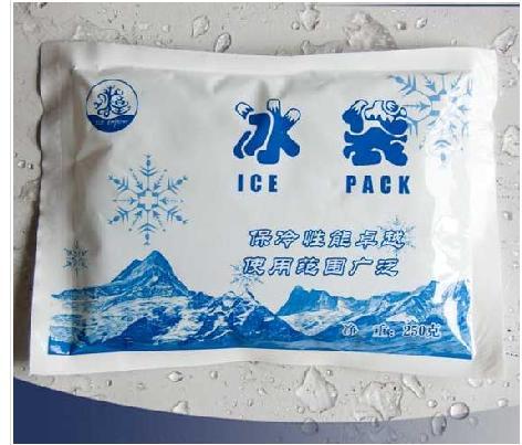 250克冰袋野餐包冰袋/生物冰袋/冰包用品/保温箱伴侣/降温冰盒