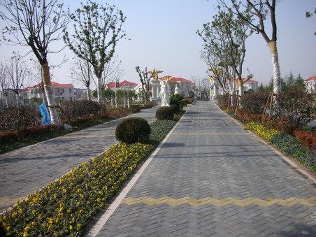 供應(yīng)建菱舒布洛克磚