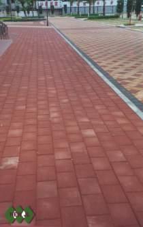 供應(yīng)建菱建菱磚