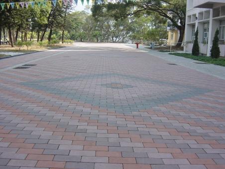 供應(yīng)南非褐南非褐建菱磚