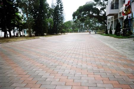 供應(yīng)南非褐南非褐建菱磚