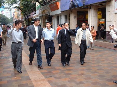 供應(yīng)南非褐南非褐建菱磚