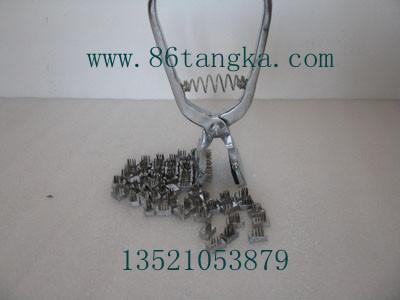 供應(yīng)耳號(hào)刺青鉗生產(chǎn)廠家