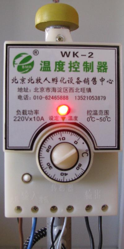 供應(yīng)育雛保溫傘