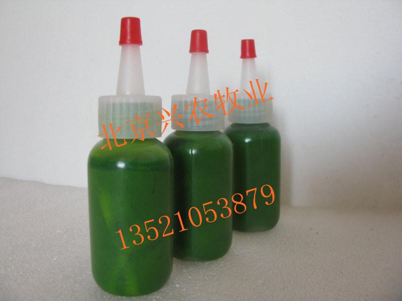 供應(yīng)德牧犬耳號油，藏獒耳號油，寵物犬耳號油