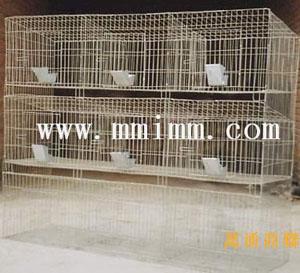 供應(yīng)養(yǎng)兔籠 兔籠 種兔籠 母兔籠