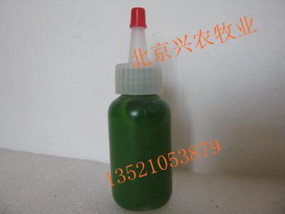 供應(yīng)德牧耳號(hào)鉗，刺青鉗，耳刺鉗生產(chǎn)廠家