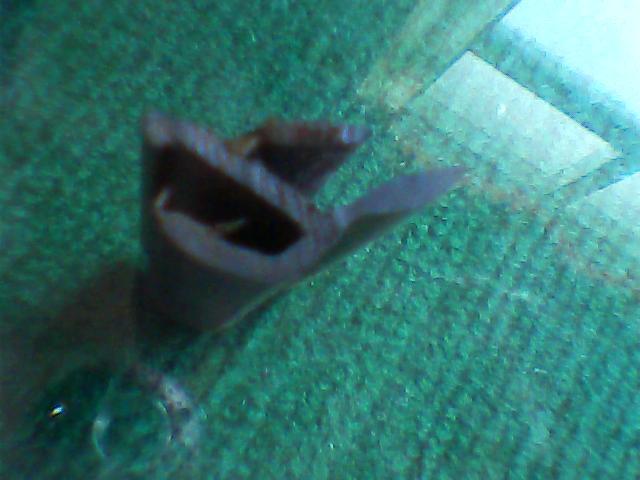 供應(yīng)橡塑軟硬復(fù)合密封條