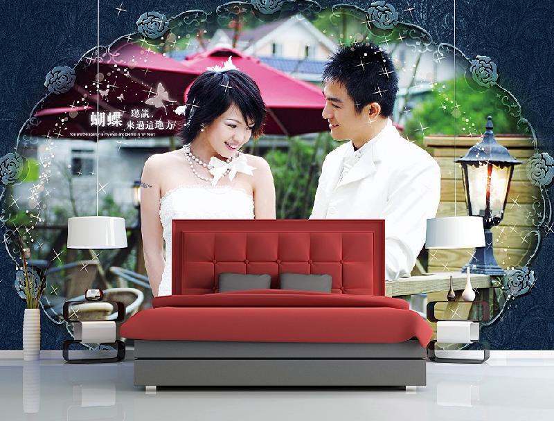 供應(yīng)時(shí)尚墻紙壁紙