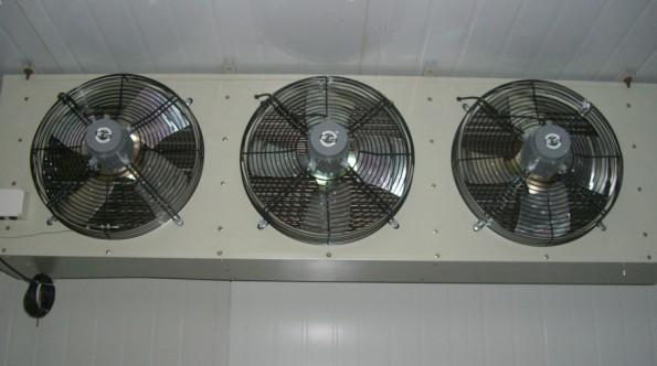 供應(yīng)南昌種子保鮮冷庫制造商，南昌種子保鮮冷庫廠家，南昌種子保鮮冷庫廠