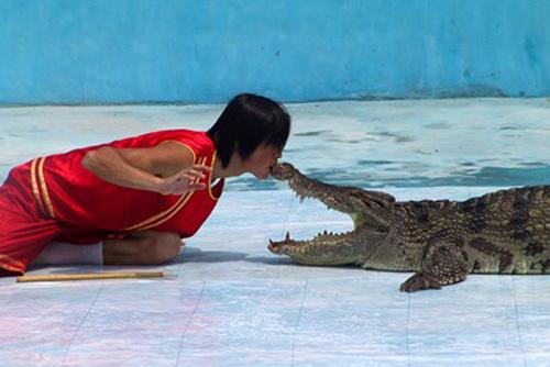 白洋淀塌湖淀里懲*