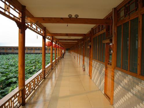 白洋淀自駕游攻略