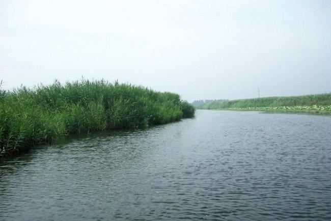 白洋淀休閑2日游