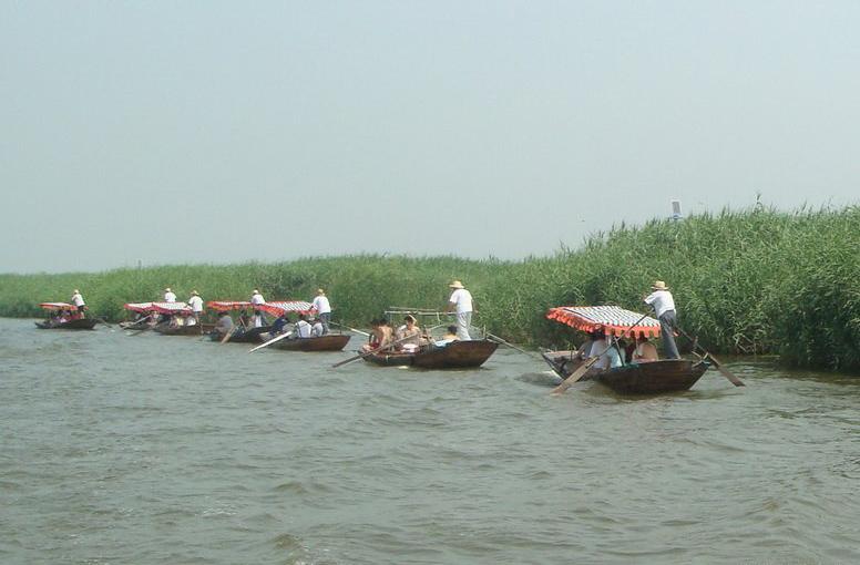 白洋淀粘鉤捕魚