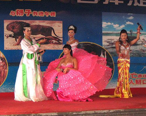 白洋淀塌湖淀里懲*