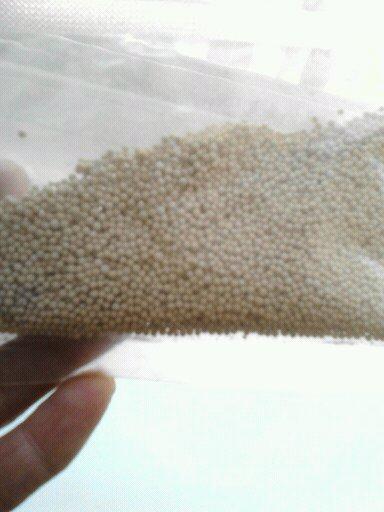 供應(yīng)13X分子篩