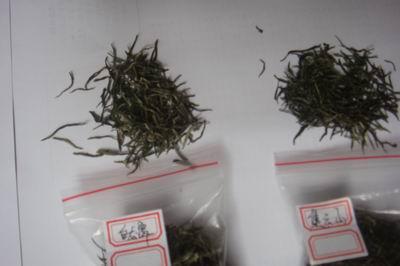 供应茶艺师资格证书郑州茶艺师资格证书茶艺师职业资格证书培训【涵信