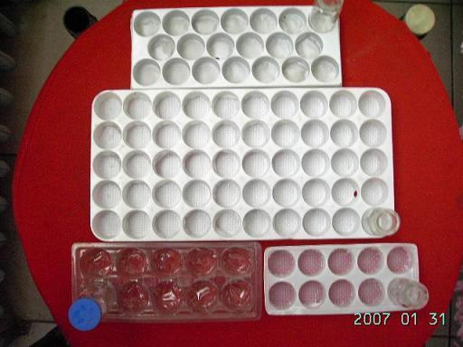 供應(yīng)粉針劑吸塑包裝盒