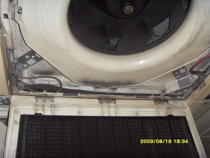 供應(yīng)楂木頭清潔公司