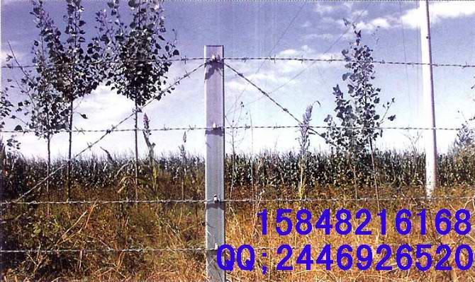 呼市刺絲圍欄網(wǎng)--包頭網(wǎng)圍欄--包頭刺絲圍欄