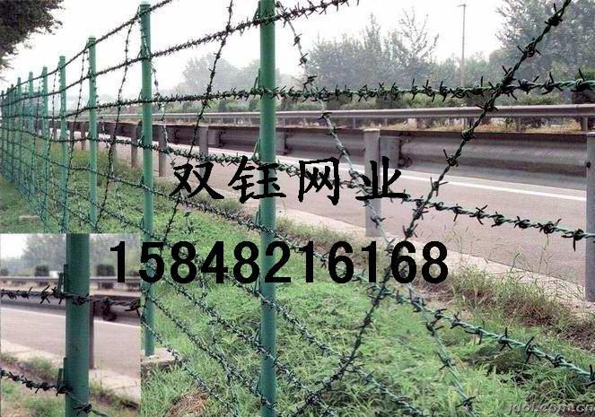 刺絲圍欄網(wǎng)圖片