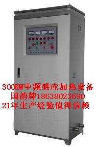 专业供应圆钢透热锻造炉200kw