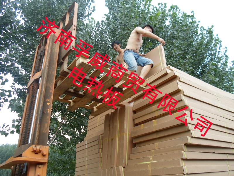 供應(yīng)電熱板批發(fā)電熱板銷售電熱板價(jià)格電熱板應(yīng)用電熱板安然汗蒸房電熱板