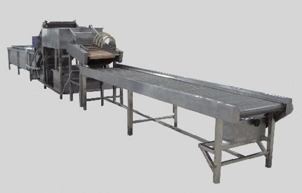 銘威果蔬清洗流水線圖片